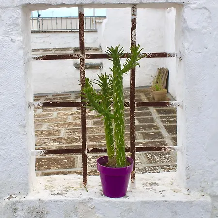 Cassiodoro - & Terrace Σπίτι διακοπών Ostuni