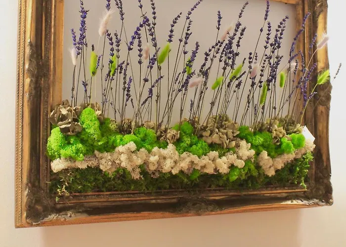 Cassiodoro - & Terrace 度假居